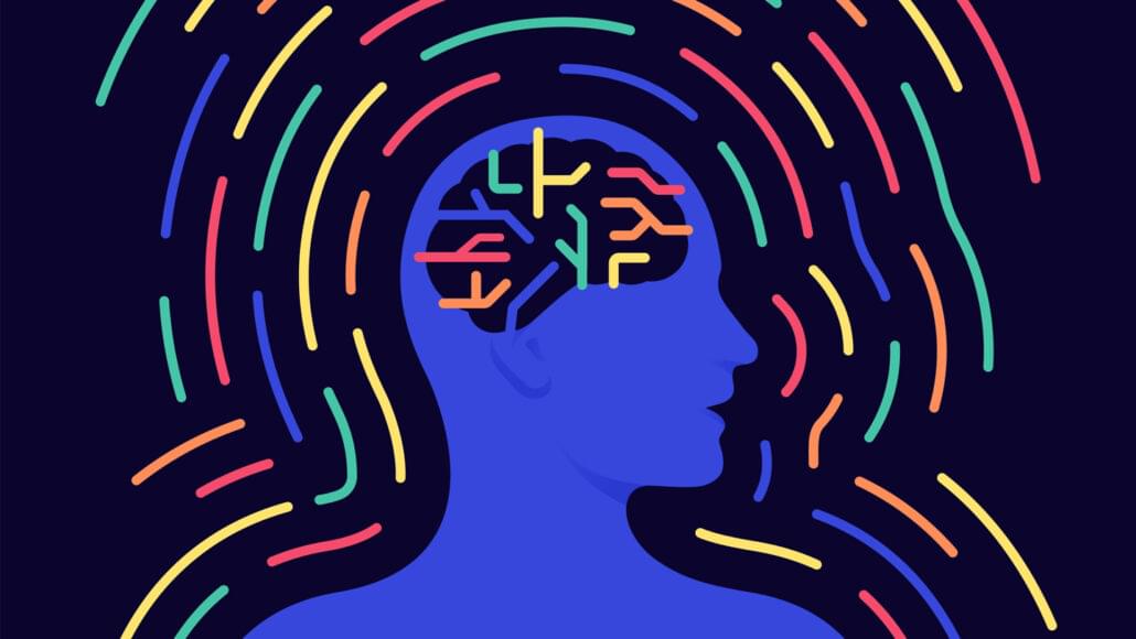 brain